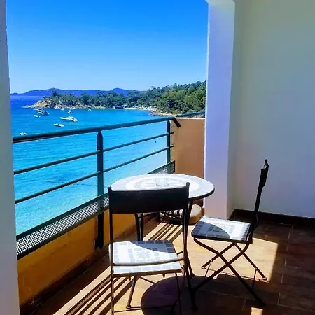 Cavaliere Surplage