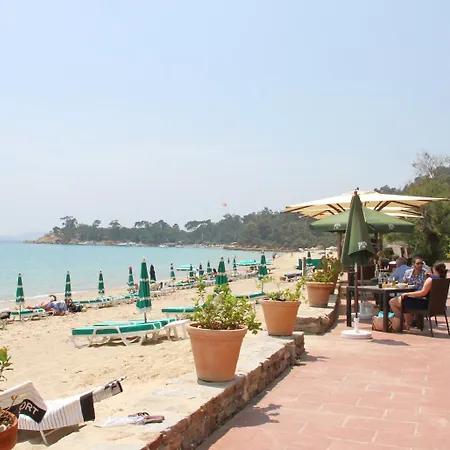 Cavaliere Surplage