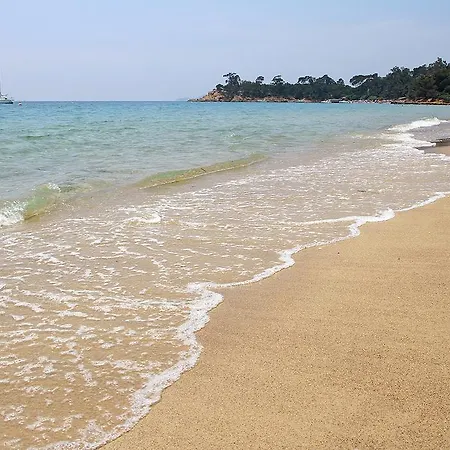 Cavaliere Surplage